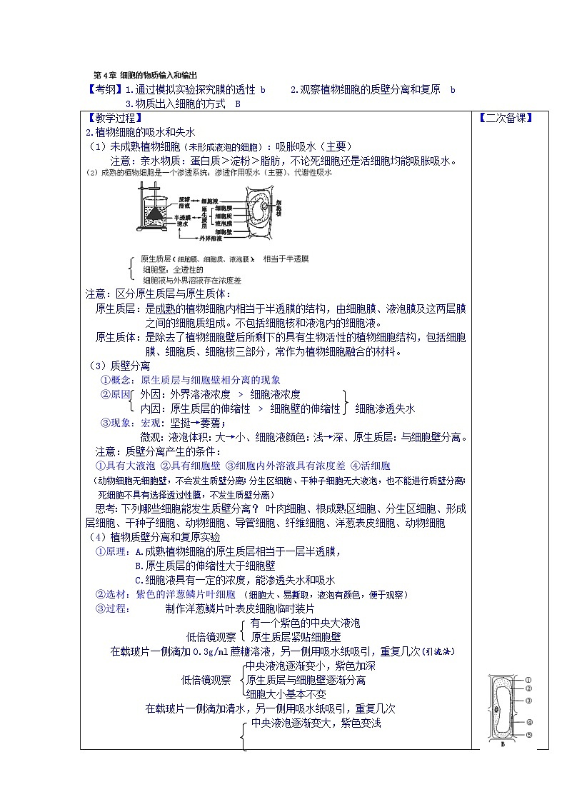 高中生物（新人教版必修1）教案：第4章《细胞的物质输入和输出》第2课时第1页
