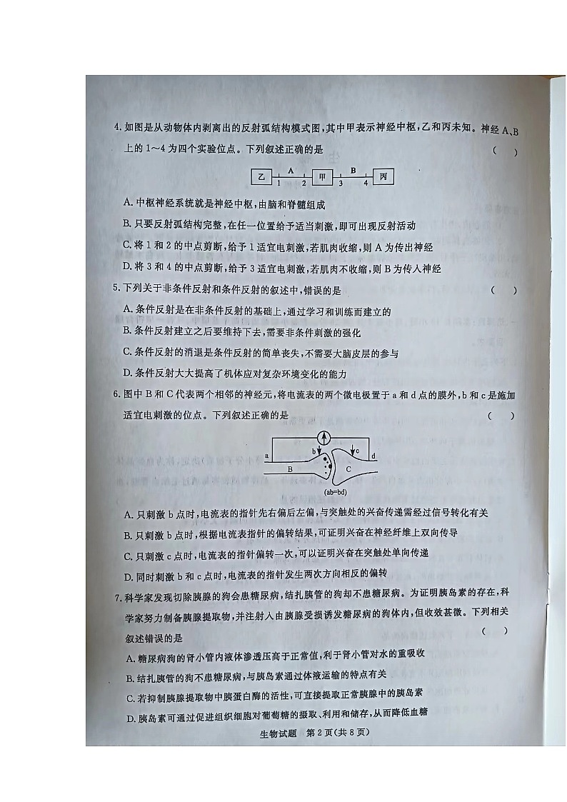 河南省周口市太康县第一高级中学2023-2024学年高二上学期期中生物试题第2页