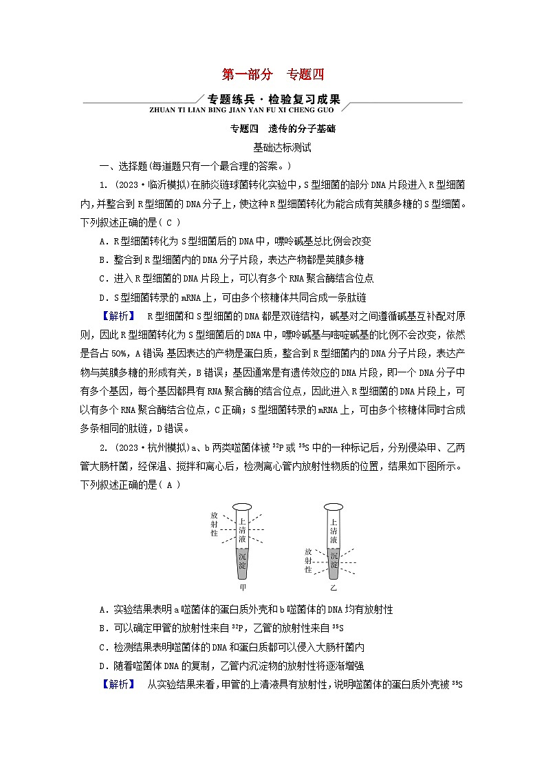 新教材适用2024版高考生物二轮总复习第1部分核心考点突破专题4遗传的分子基础第1页