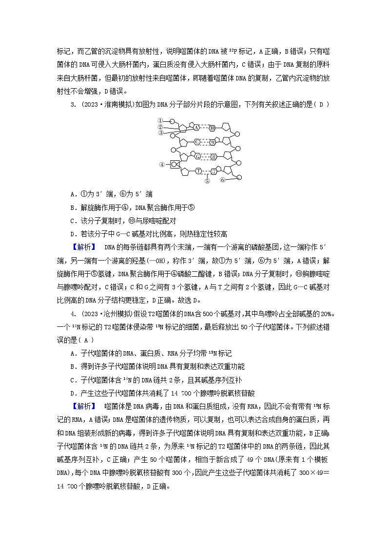 新教材适用2024版高考生物二轮总复习第1部分核心考点突破专题4遗传的分子基础第2页