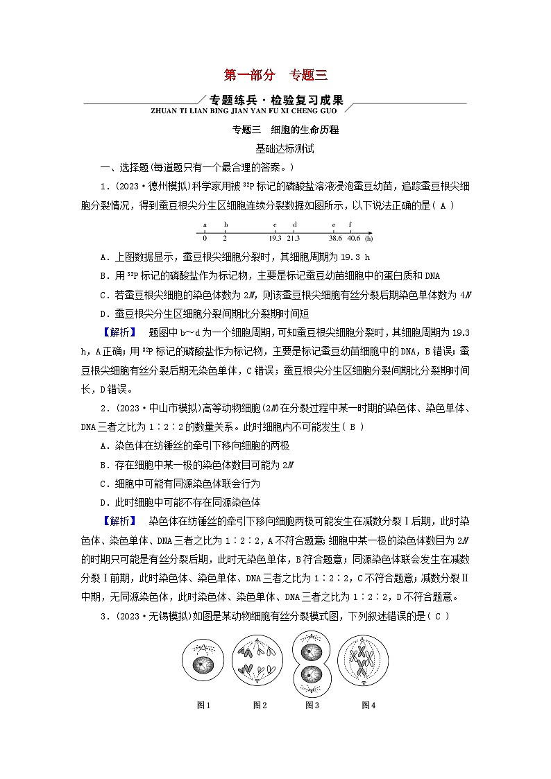 新教材适用2024版高考生物二轮总复习第1部分核心考点突破专题3细胞的生命历程01