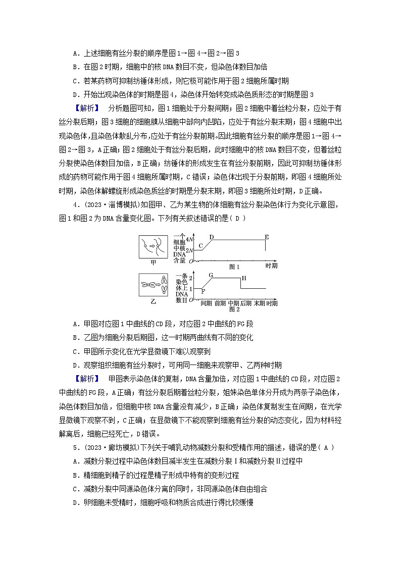 新教材适用2024版高考生物二轮总复习第1部分核心考点突破专题3细胞的生命历程02
