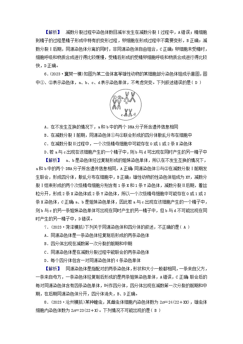 新教材适用2024版高考生物二轮总复习第1部分核心考点突破专题3细胞的生命历程03