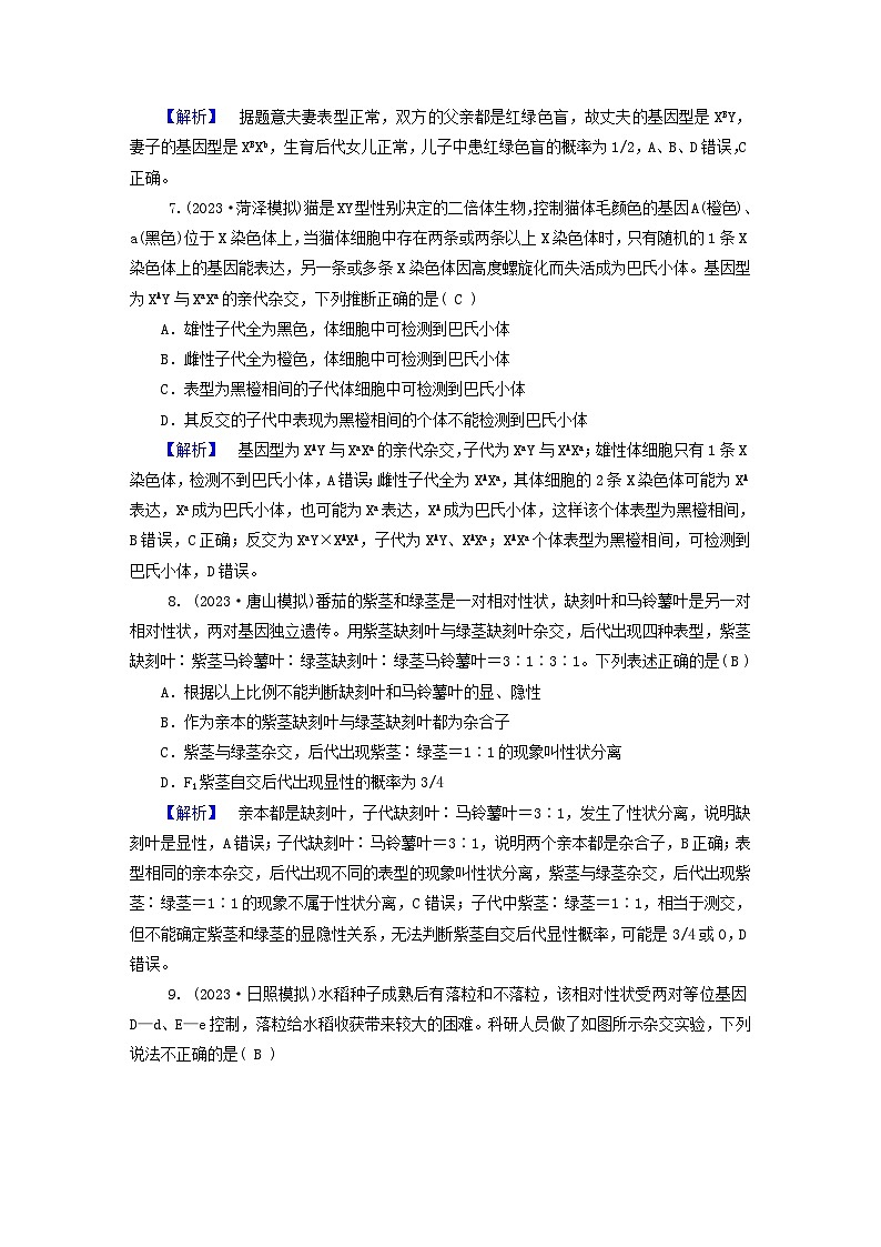 新教材适用2024版高考生物二轮总复习第1部分核心考点突破专题5遗传的基本规律与伴性遗传第3页