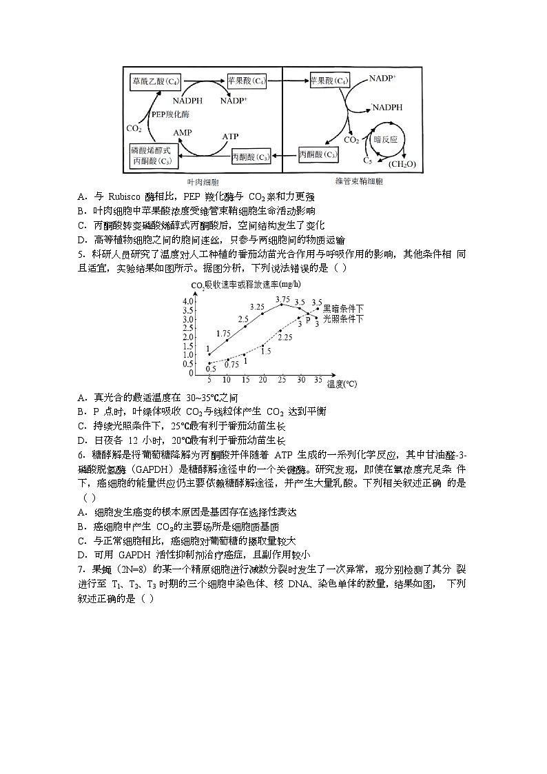 辽宁省东北育才学校高中部2023-2024学年高三上学期第三次模拟生物试题第2页