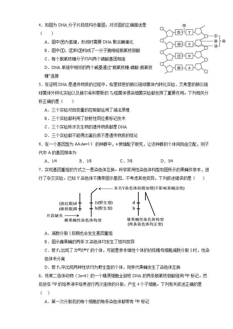 天津市实验中学滨海学校2023-2024学年高三上学期期中生物试题（Word版附解析）02