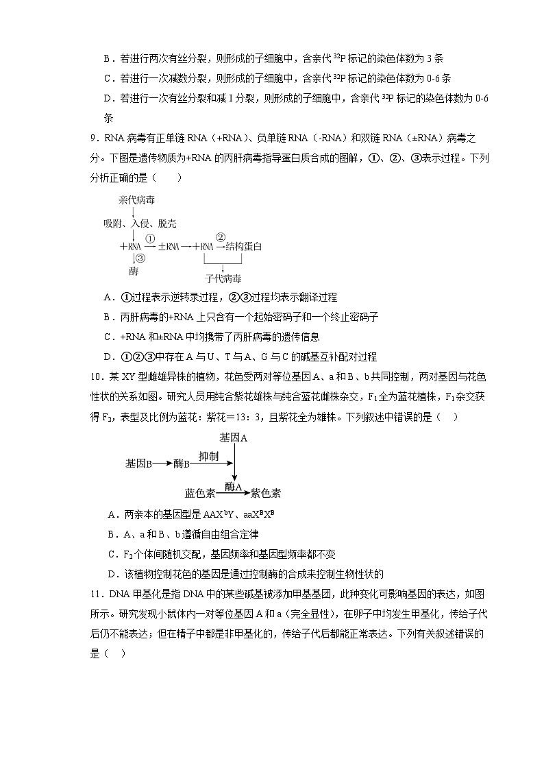 天津市实验中学滨海学校2023-2024学年高三上学期期中生物试题（Word版附解析）03