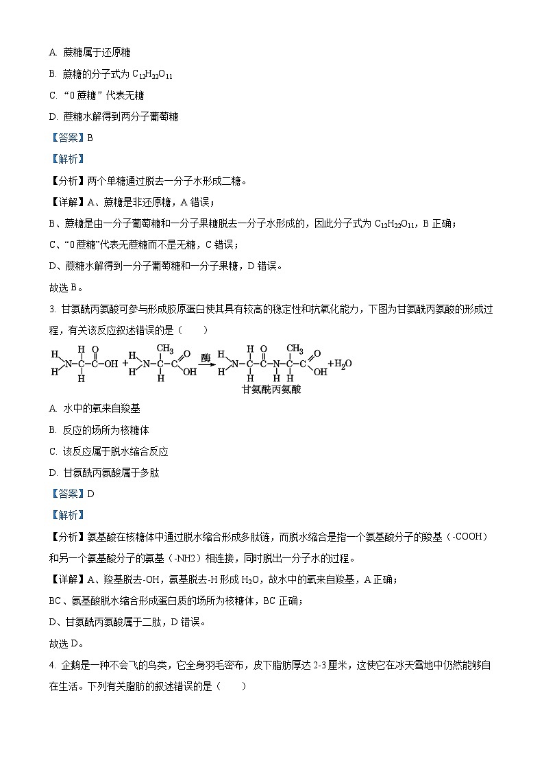 浙江省杭州市及周边重点中学2023-2024学年高一上学期期中生物试题（Word版附解析）第2页