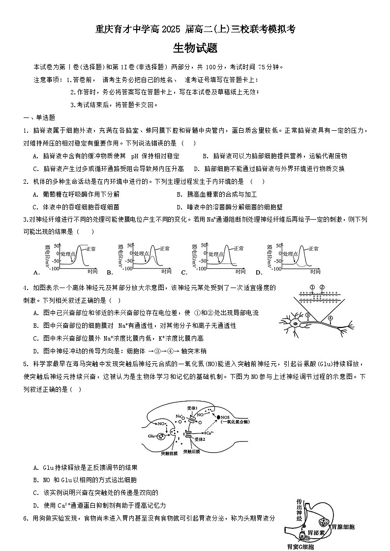 重庆市育才中学等三校联考2023-2024学年高二上学期11月模拟考试生物试题（Word版附答案）01