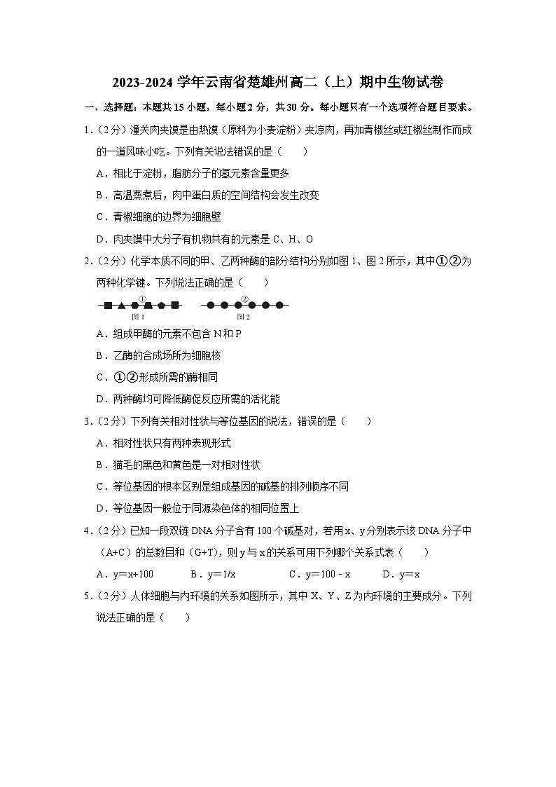 云南省楚雄州2023-2024学年高二上学期期中生物试卷01