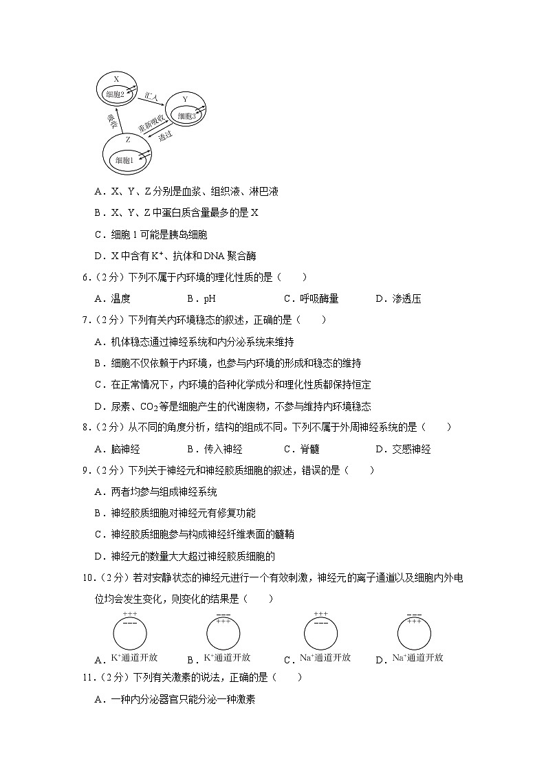 云南省楚雄州2023-2024学年高二上学期期中生物试卷02