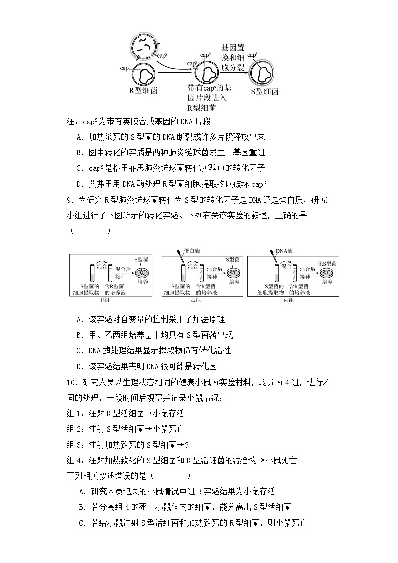 人教版高中生物必修二3.1DNA是主要的遗传物质 课件+同步分层练习（含答案解析）03