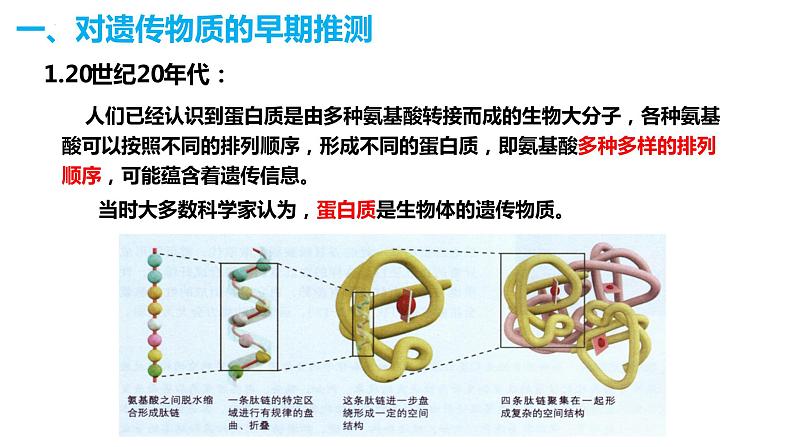 人教版高中生物必修二3.1DNA是主要的遗传物质 课件+同步分层练习（含答案解析）03