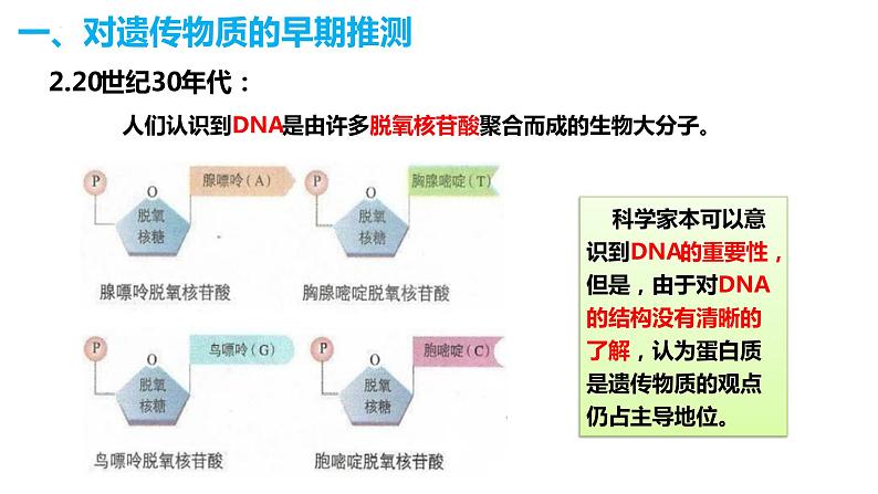 人教版高中生物必修二3.1DNA是主要的遗传物质 课件+同步分层练习（含答案解析）04