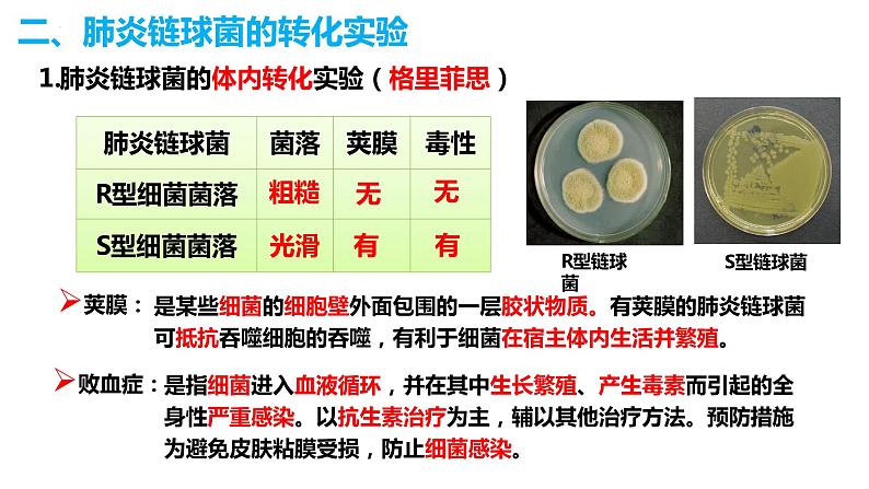 人教版高中生物必修二3.1DNA是主要的遗传物质 课件+同步分层练习（含答案解析）06