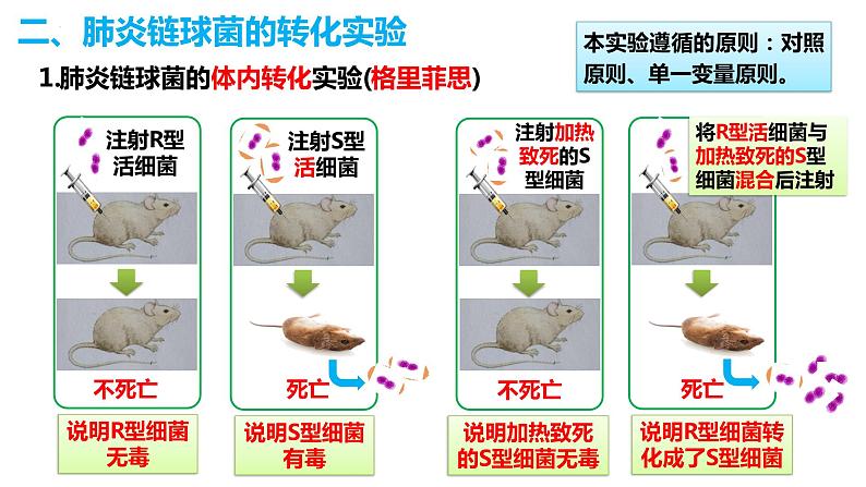 人教版高中生物必修二3.1DNA是主要的遗传物质 课件+同步分层练习（含答案解析）07