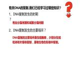 DNA的复制课件PPT