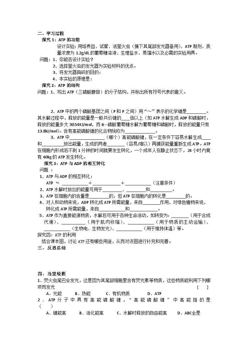 人教版高中生物必修一第五章第2节《细胞的能量通货-ATP》导学案02