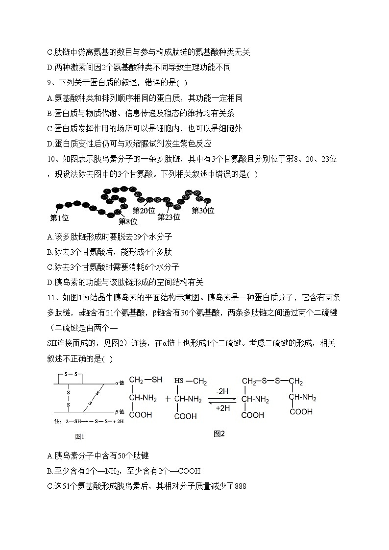 江西省宜春市丰城市九中2023-2024学年高一上学期期中生物试题(含答案)03