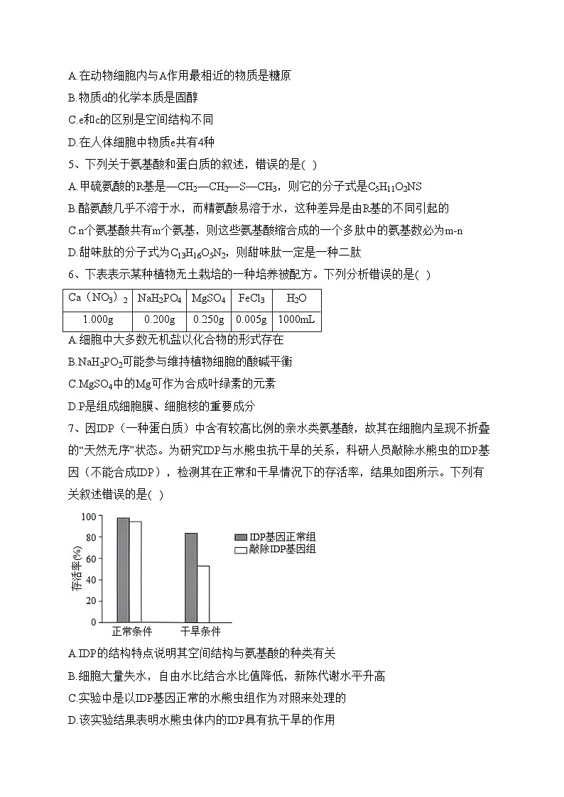 湖南师范大学附中2023-2024学年高一上学期期中生物试题(含答案)第2页
