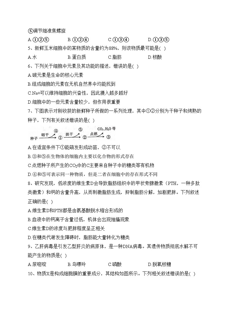 河北省沧州市泊头市2023-2024学年高一11月期中生物试题(含答案)02