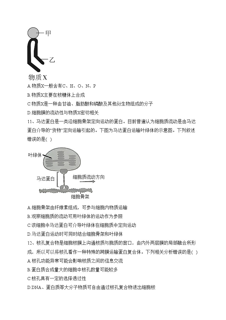 河北省沧州市泊头市2023-2024学年高一11月期中生物试题(含答案)03