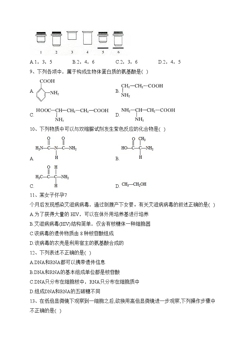 湖南省邵阳市二中2023-2024学年高一上学期期中生物试题(含答案)02