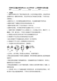 天津市五区重点校联考2023-2024学年高一上学期期中生物试题(含答案)