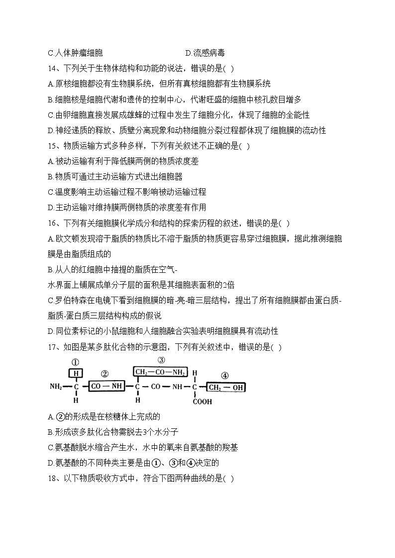 天津市和平区双菱中学2023-2024学年高一11月期中生物试题(含答案)03