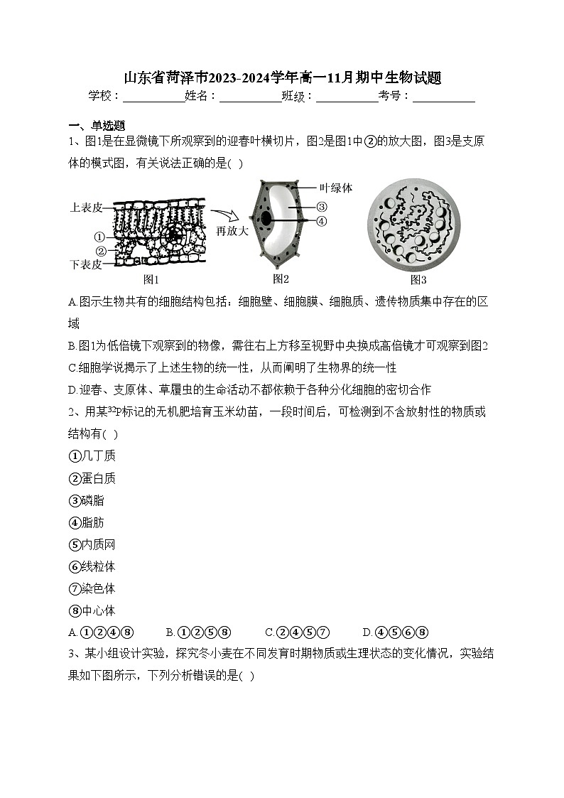 山东省菏泽市2023-2024学年高一11月期中生物试题(含答案)01