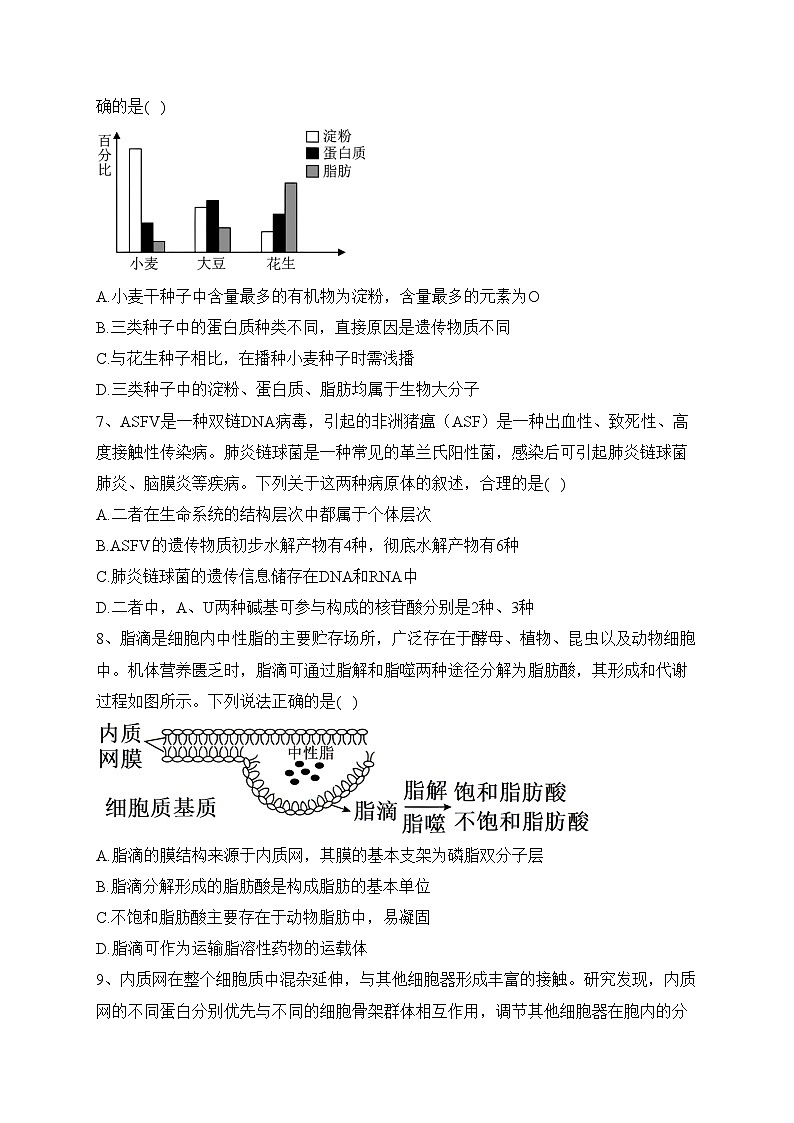 山东省菏泽市2023-2024学年高一11月期中生物试题(含答案)03