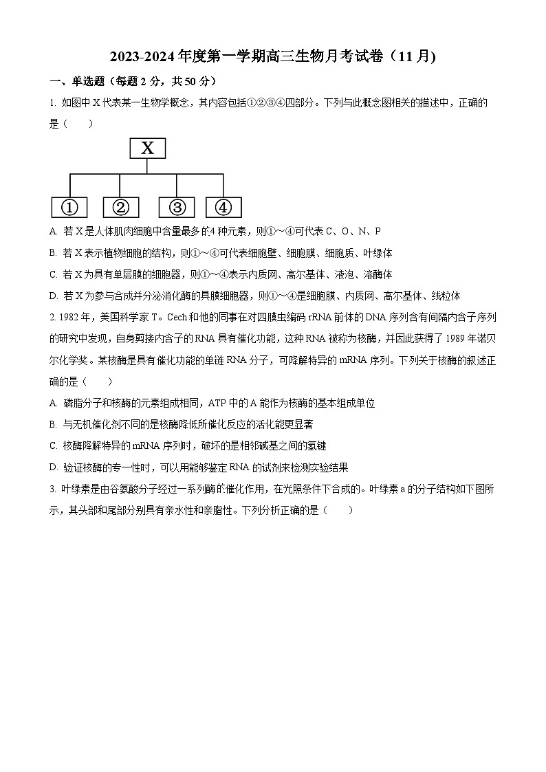 2024石河子一中高三上学期11月月考试题生物含解析01