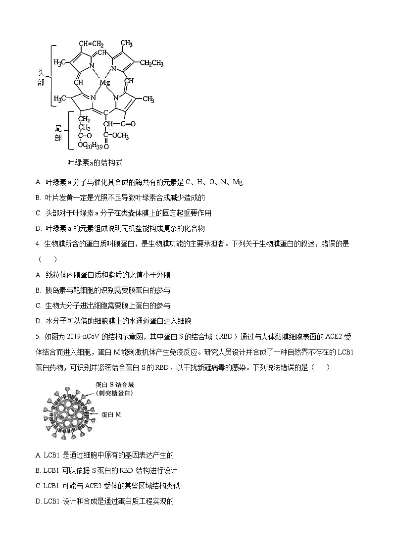 2024石河子一中高三上学期11月月考试题生物含解析02
