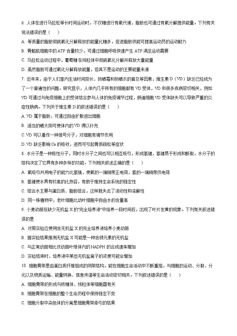 2024石河子一中高三上学期11月月考试题生物含解析03