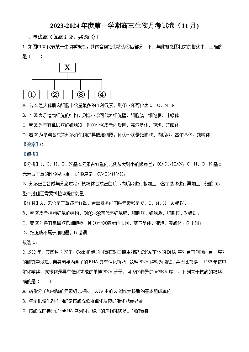 2024石河子一中高三上学期11月月考试题生物含解析01