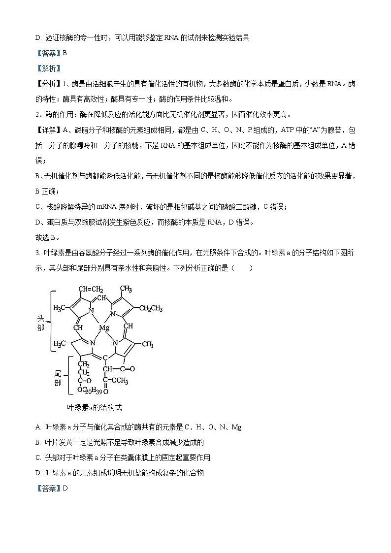 2024石河子一中高三上学期11月月考试题生物含解析02