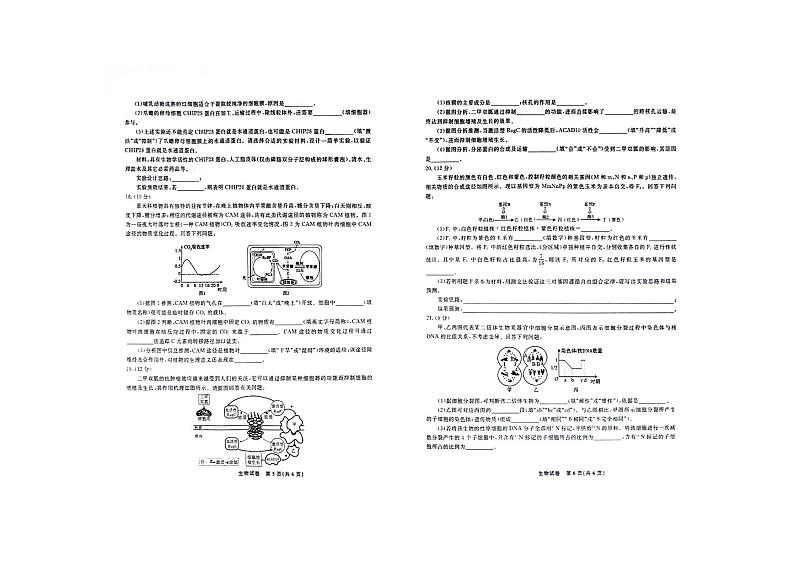 2024安徽省部分地区高三上学期11月联考试题生物PDF版含答案第3页