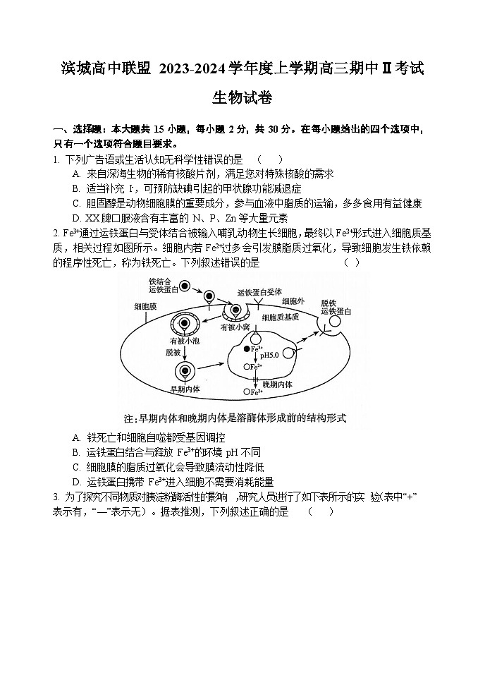 2024大连滨城高中联盟高三上学期期中（Ⅱ）考试生物无答案第1页