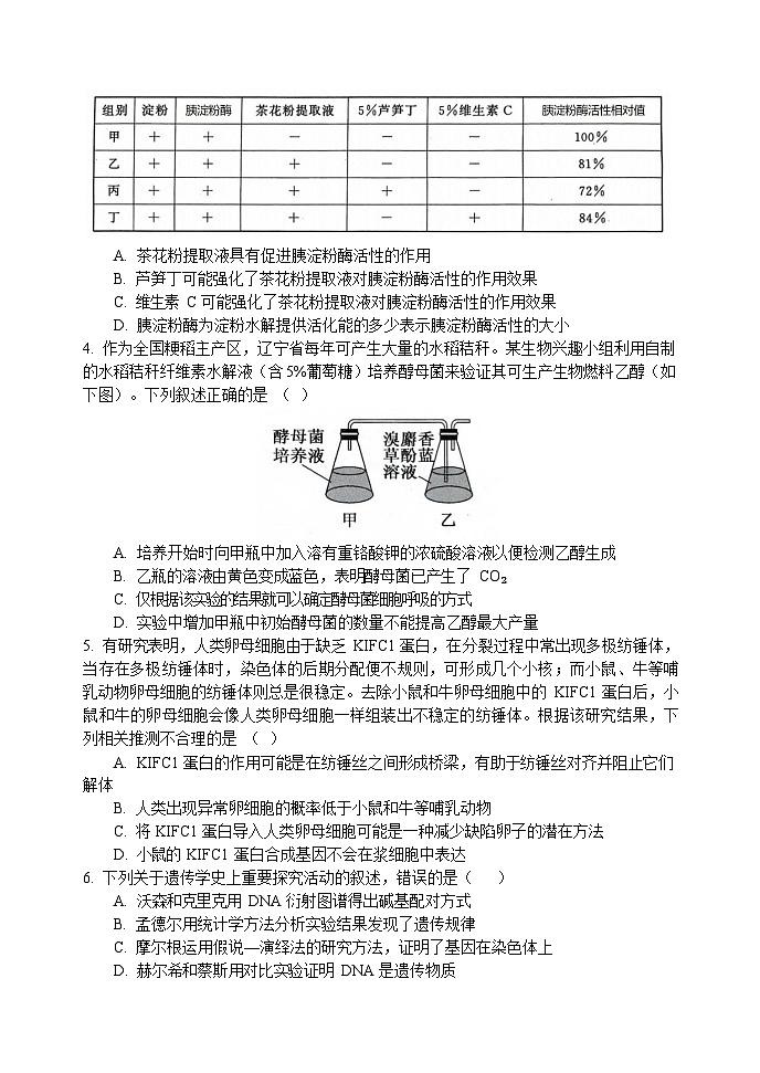 2024大连滨城高中联盟高三上学期期中（Ⅱ）考试生物无答案第2页