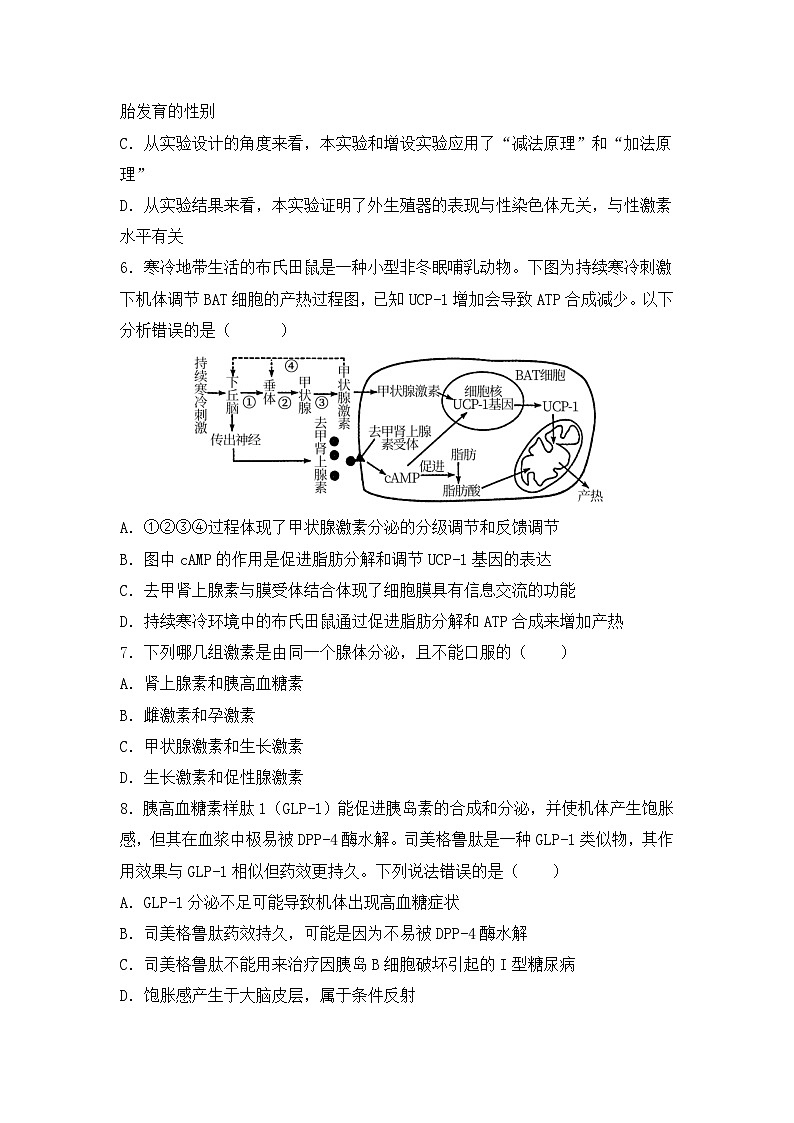 2024泰州联盟五校高二上学期期中考试生物含答案03