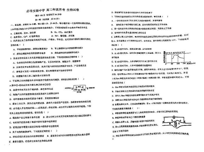 2024赤峰实验中学高二上学期期中生物试题扫描版含答案01