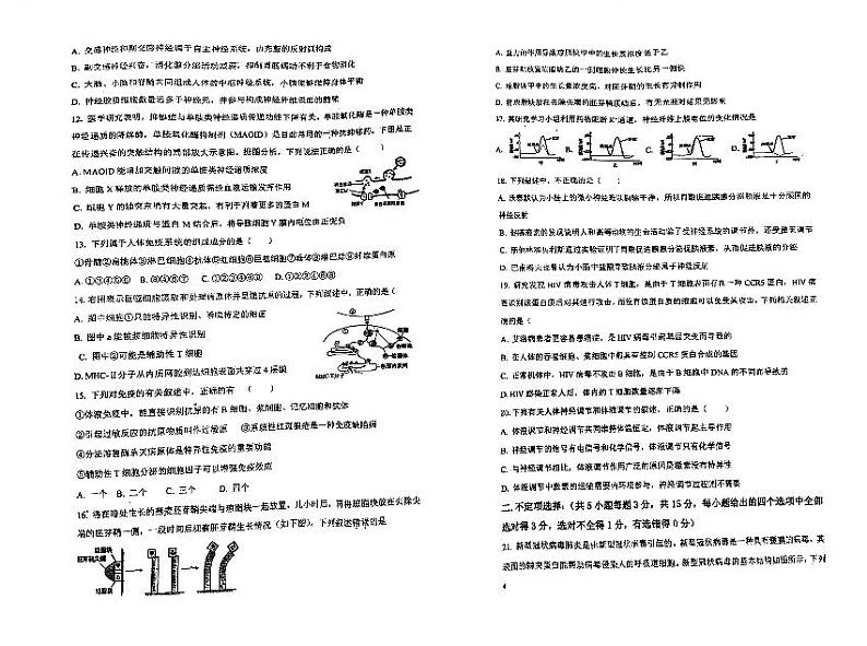 2024赤峰实验中学高二上学期期中生物试题扫描版含答案02