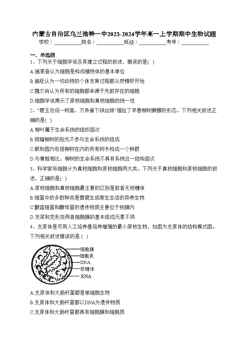 内蒙古自治区乌兰浩特一中2023-2024学年高一上学期期中生物试题(含答案)第1页