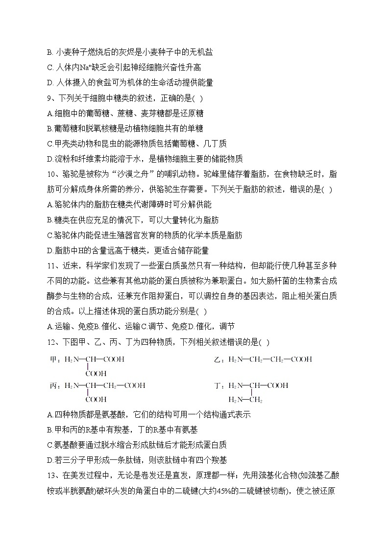 内蒙古自治区乌兰浩特一中2023-2024学年高一上学期期中生物试题(含答案)第3页