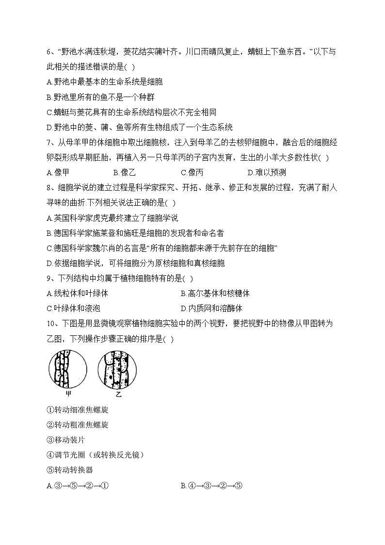 平罗中学2022-2023学年高一上学期11月期中考试生物试卷(含答案)第2页