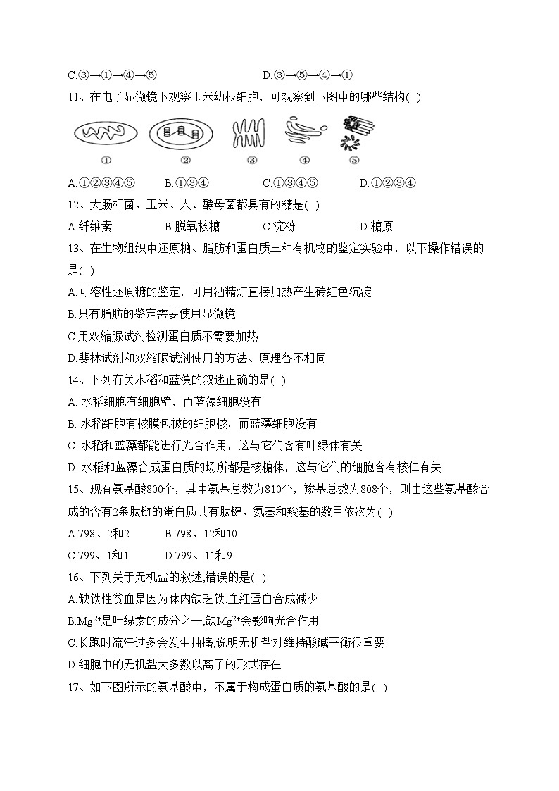 平罗中学2022-2023学年高一上学期11月期中考试生物试卷(含答案)第3页