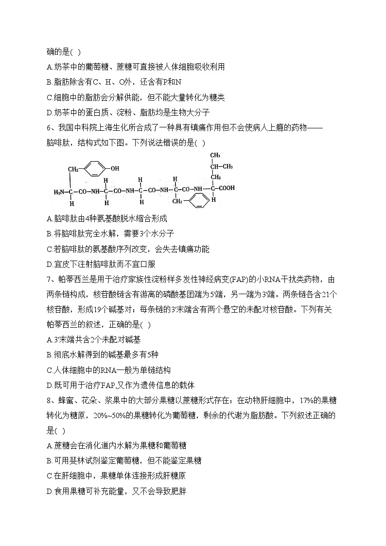 山东省滨州市邹平市一中2023-2024学年高一11月期中生物试题(含答案)第2页