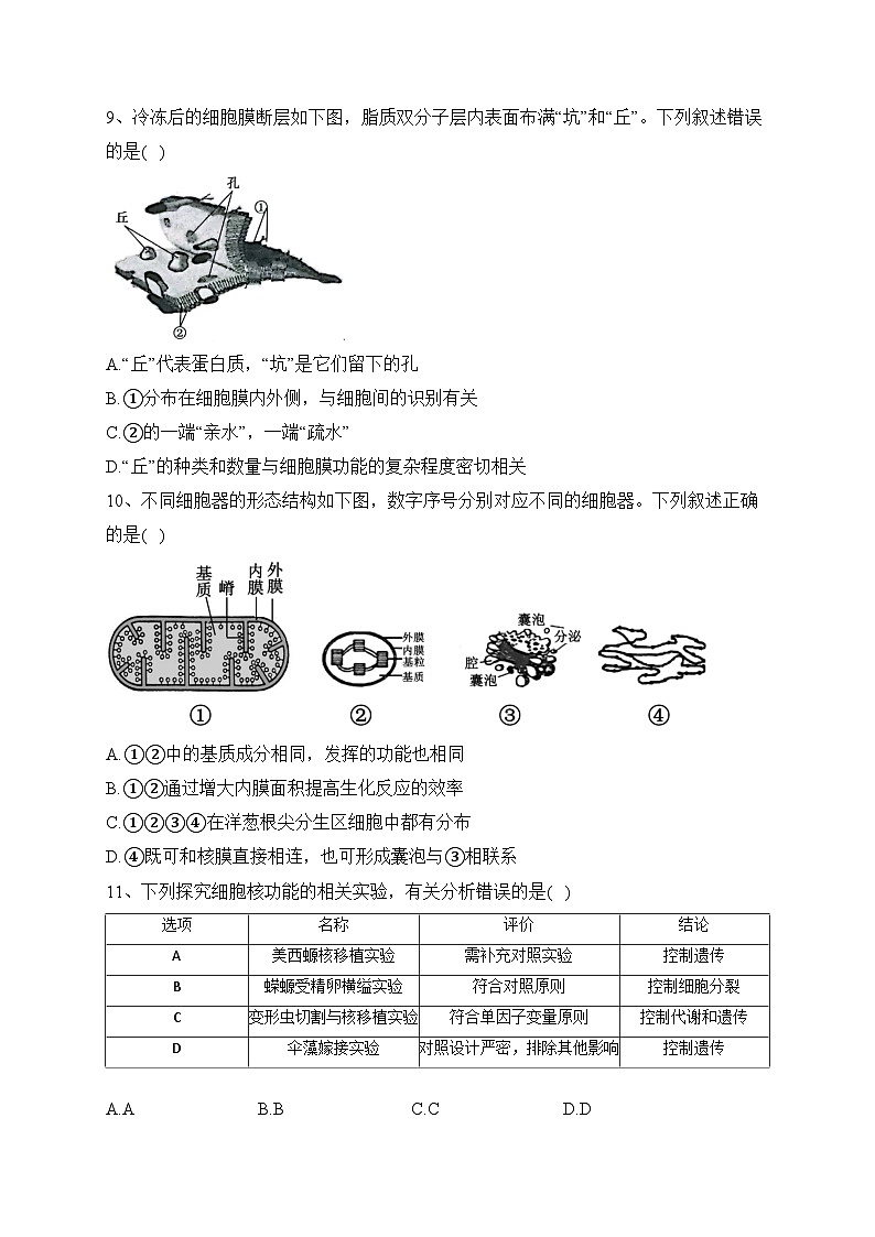 山东省滨州市邹平市一中2023-2024学年高一11月期中生物试题(含答案)第3页