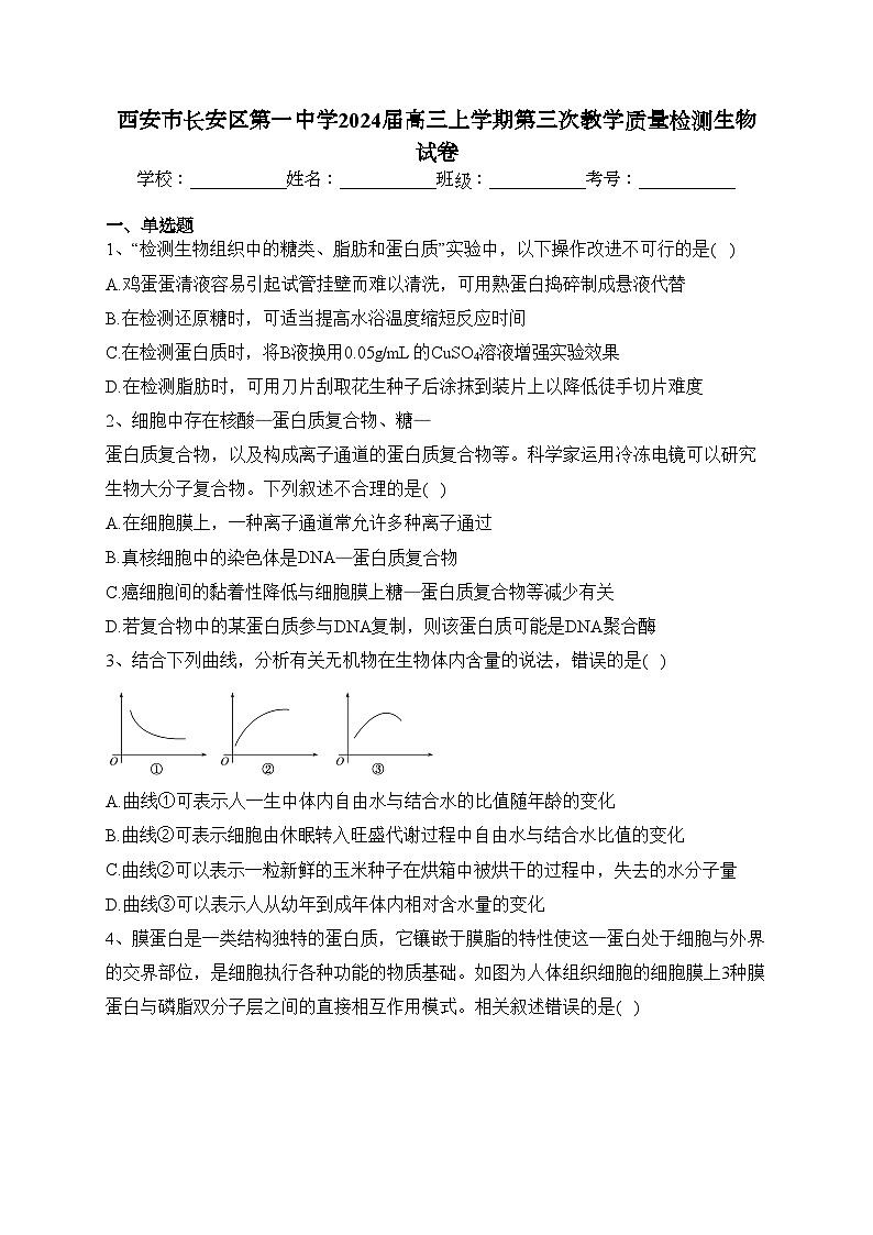 西安市长安区第一中学2024届高三上学期第三次教学质量检测生物试卷(含答案)01