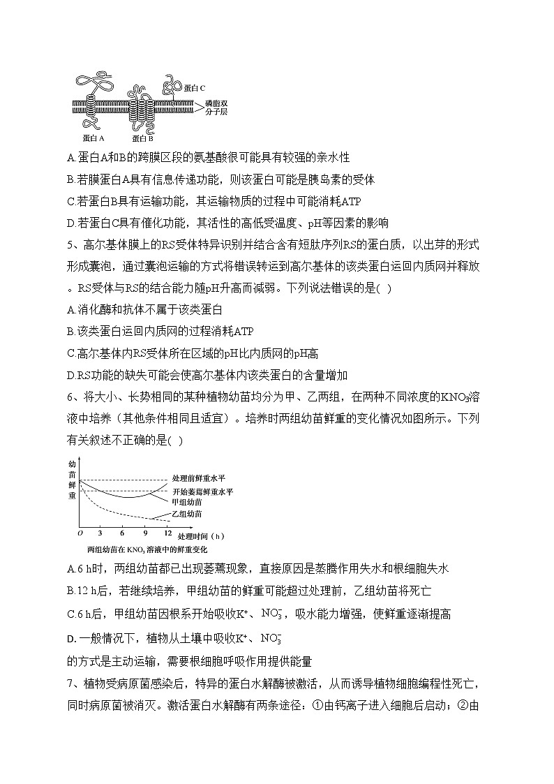 西安市长安区第一中学2024届高三上学期第三次教学质量检测生物试卷(含答案)02